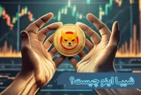 شیبا اینو چیست و چه کاربردی دارد؟