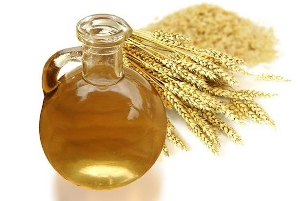 کشف کنید: بهترین روغن و کرم جوانه گندم و خواص شگفت‌انگیز درمانی و زیبایی آن
