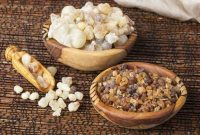 شش خاصیت کندر برای کاهش وزن و راهنمای مصرف شش خاصیت کندر برای کاهش وزن و راهنمای مصرف