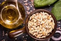 کشف خواص شگفت‌انگیز روغن و کرم جوانه گندم برای درمان و زیبایی