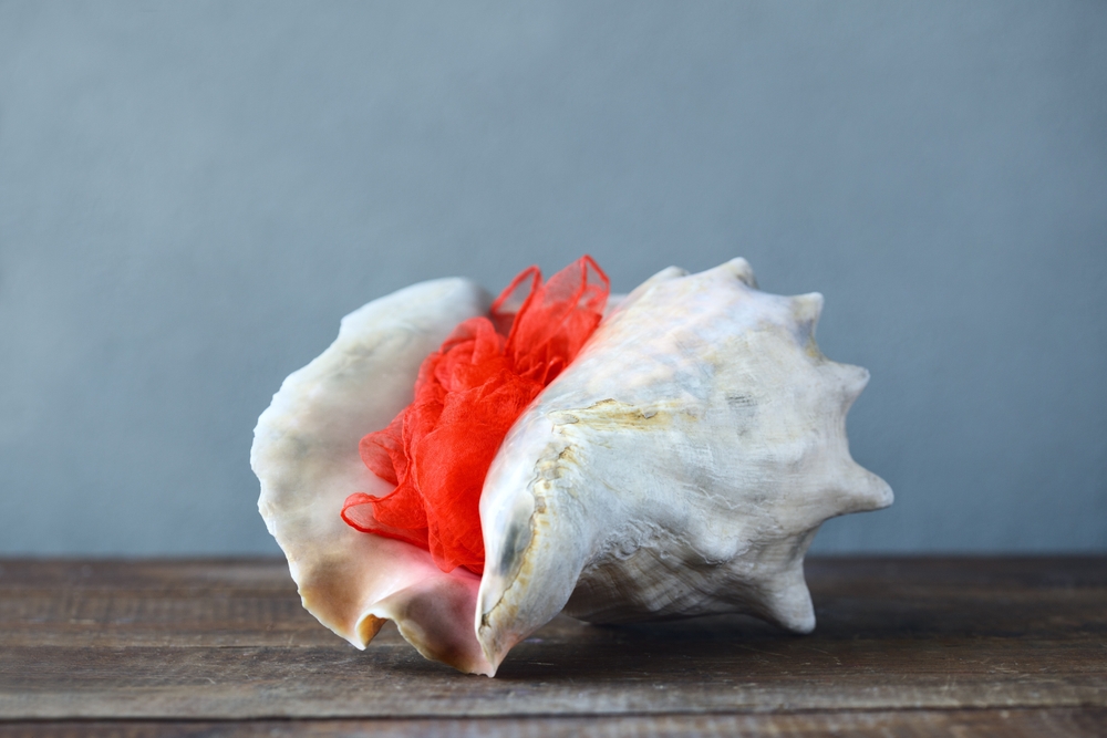 همه چیز در مورد لابیاپلاستی از دید هیلیفا همه چیز در مورد لابیاپلاستی از دید هیلیفا