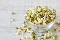جوانه ماش: نیروگاه کوچک طبیعت برای سلامتی و شادابی شما + روش تهیه خانگی