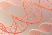  انقلاب RNA دایره‌ای در درمان سرطان | فناوری نوظهور CycloPhore راه را به فراتر از کبد باز کرد