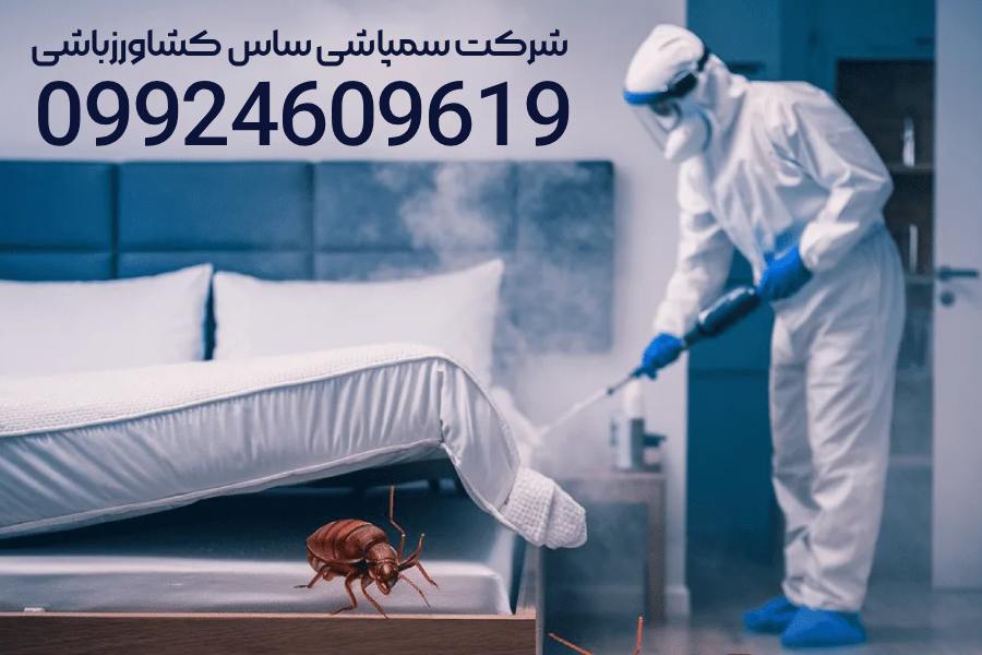 سم چغندر برای ساس | آیا انتخاب درستی است؟ بهترین شرکت سمپاشی ساس منزل در تهران : شرکت سمپاشی ساس منزل کشاورزباشی