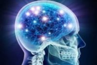 افزایش سروتونین؛ راهکارهایی ساده برای بهبود سلامت بدن