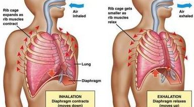 تنفس صحیح چگونه سلامت شما را بهبود می‌بخشد