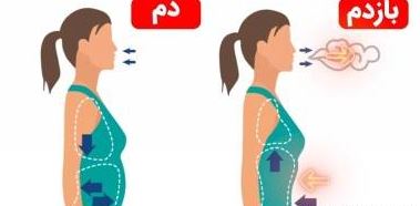 وکیوم شکم؛ تمرینی برای عضلات قوی و شکم صاف وکیوم شکم؛ تمرینی برای عضلات قوی و شکم صاف