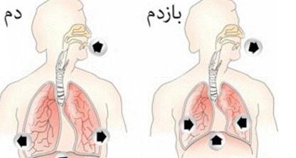 تنفس صحیح چگونه سلامت شما را بهبود می‌بخشد
