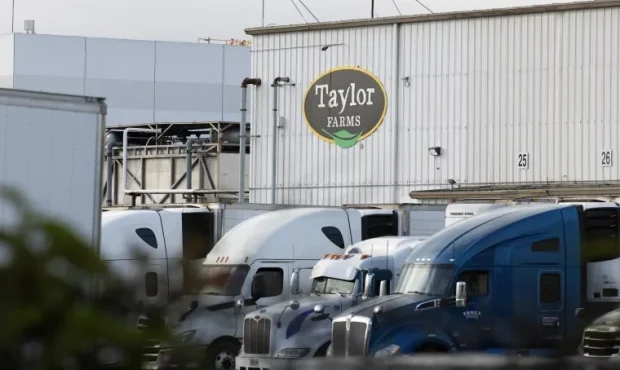 نتیجه آزمایش مثبت انگل سایکلوسپورا در کاهوهای Taylor Farms مثبت کاذب بود؛ اعلام سازمان FDA نتیجه آزمایش مثبت انگل سایکلوسپورا در کاهوهای Taylor Farms مثبت کاذب بود؛ اعلام سازمان FDA