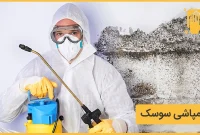 سمپاشی تخصصی منزل و محل کار