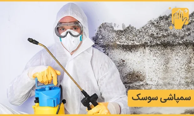 سمپاشی تخصصی منزل و محل کار